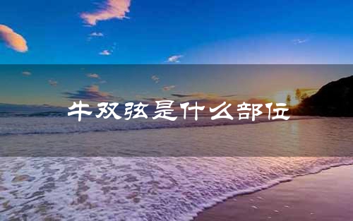 牛双弦是什么部位