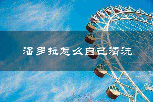 潘多拉怎么自己清洗