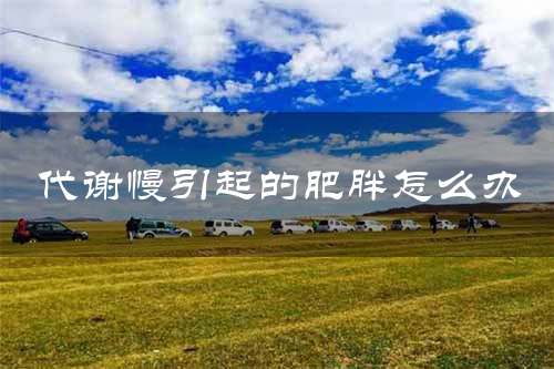 代谢慢引起的肥胖怎么办