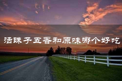 活珠子五香和原味哪个好吃