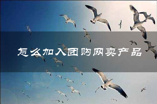 怎么加入团购网卖产品