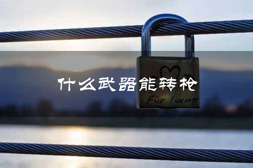 什么武器能转枪