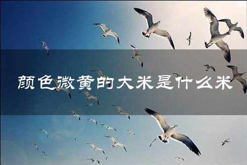 颜色微黄的大米是什么米