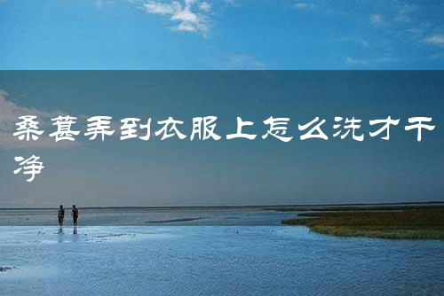 桑葚弄到衣服上怎么洗才干净
