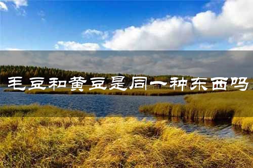 毛豆和黄豆是同一种东西吗