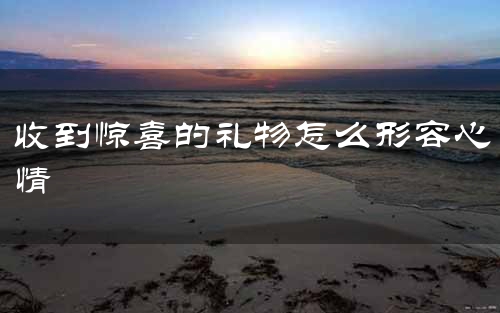 收到惊喜的礼物怎么形容心情