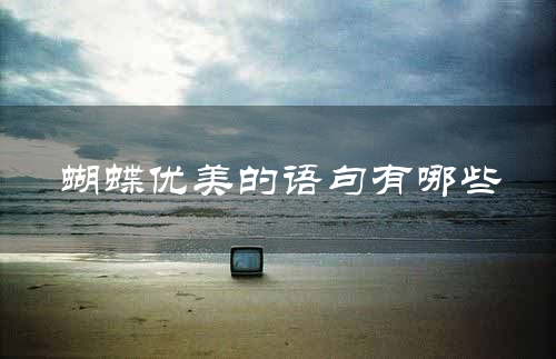 蝴蝶优美的语句有哪些