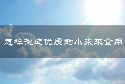 怎样挑选优质的小米来食用