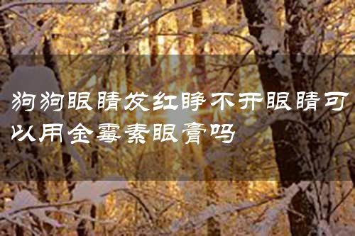 狗狗眼睛发红睁不开眼睛可以用金霉素眼膏吗