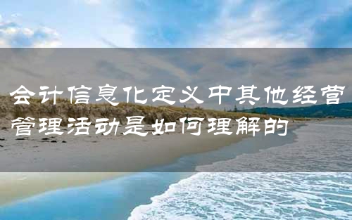 会计信息化定义中其他经营管理活动是如何理解的