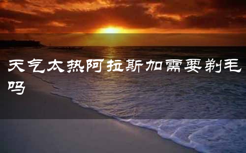 天气太热阿拉斯加需要剃毛吗
