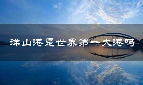 洋山港是世界第一大港吗