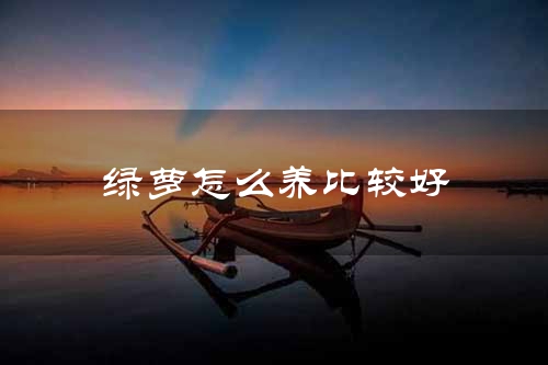 绿萝怎么养比较好