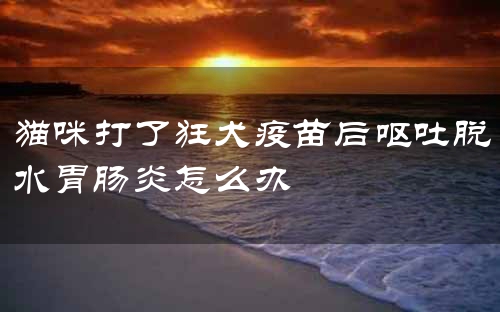 猫咪打了狂犬疫苗后呕吐脱水胃肠炎怎么办