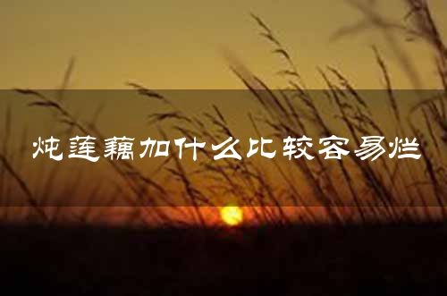 炖莲藕加什么比较容易烂