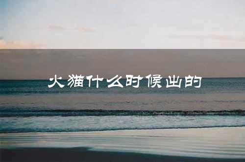 火猫什么时候出的