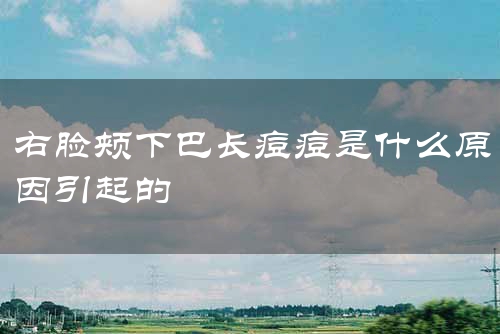 右脸颊下巴长痘痘是什么原因引起的