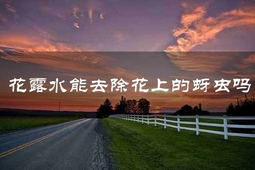 花露水能去除花上的蚜虫吗