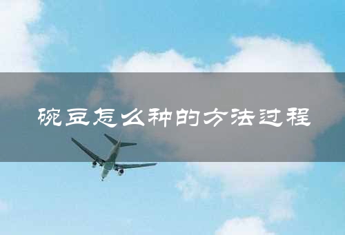 碗豆怎么种的方法过程
