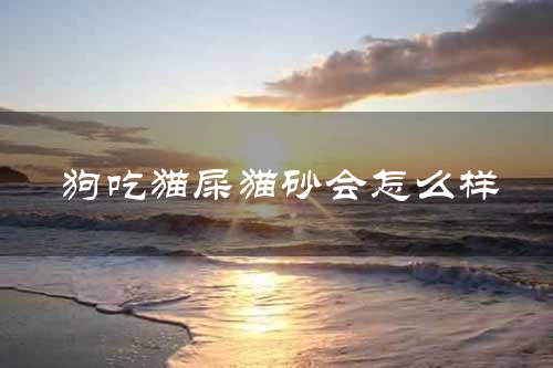 狗吃猫屎猫砂会怎么样