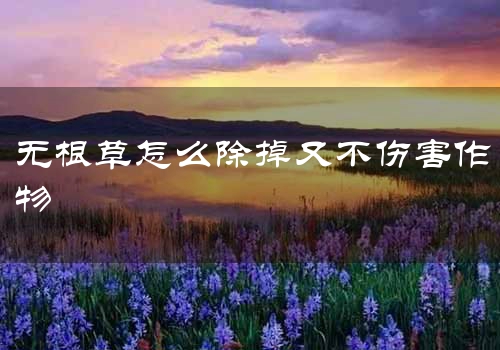 无根草怎么除掉又不伤害作物