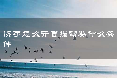 快手怎么开直播需要什么条件