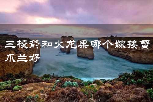 三棱箭和火龙果哪个嫁接蟹爪兰好