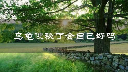 乌龟便秘了会自己好吗