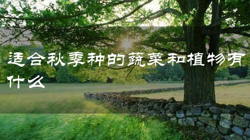 适合秋季种的蔬菜和植物有什么