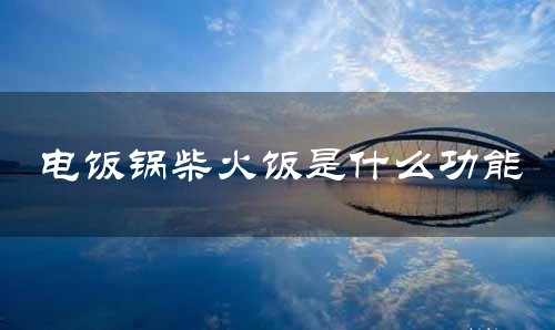 电饭锅柴火饭是什么功能
