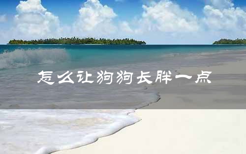 怎么让狗狗长胖一点